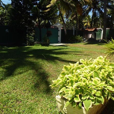Villa W Bentota Exteriér fotografie