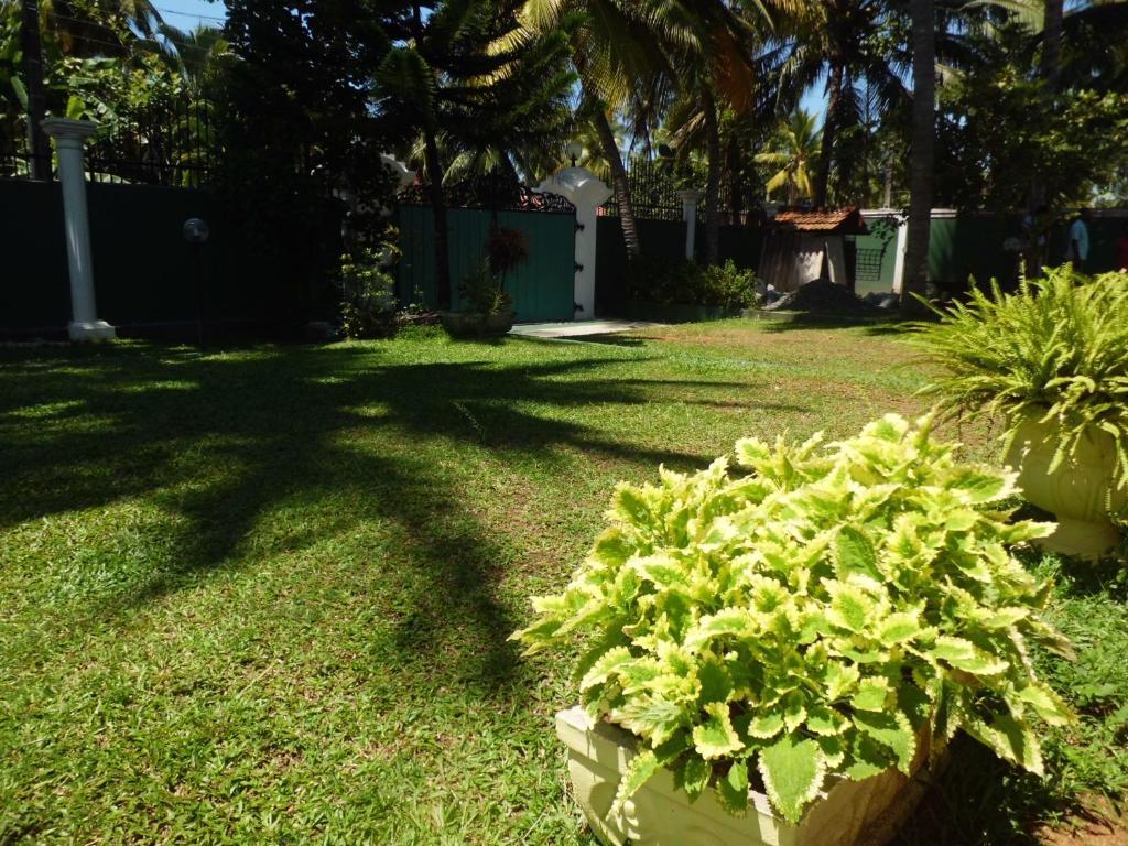 Villa W Bentota Exteriér fotografie